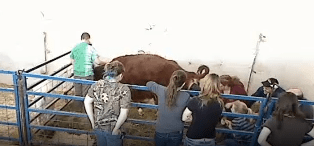 Screen Shot 2013-03-21 at 12.35.37 PM