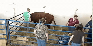 Screen Shot 2013-03-21 at 12.36.28 PM