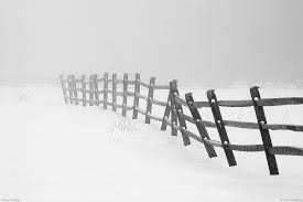 fence
